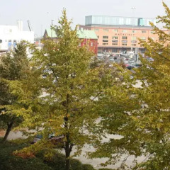Отель First Hotel Jörgen Kock Швеция, Мальме - отзывы, цены и фото номеров - забронировать отель First Hotel Jörgen Kock онлайн