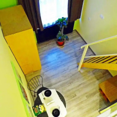 Budapest Budget Hostel Стандартный номер с различными типами кроватей фото 41