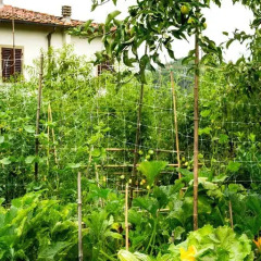 Отель Villa Le Balze Реггелло фото 6