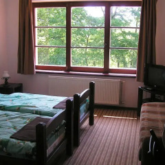 Гостиница Дубки 3* Стандартный номер с различными типами кроватей фото 2