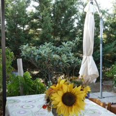 Отель Holiday Home Fiumi Агридженто помещение для мероприятий