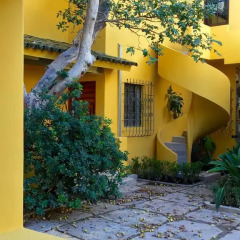 Отель Demetria Bungalows Мексика, Гвадалахара - отзывы, цены и фото номеров - забронировать отель Demetria Bungalows онлайн фото 6