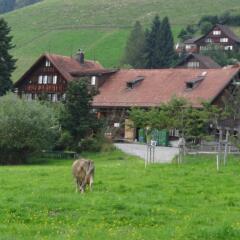 Vogelnest In Gais Switzerland From 275 Photos Reviews Zenhotels Com