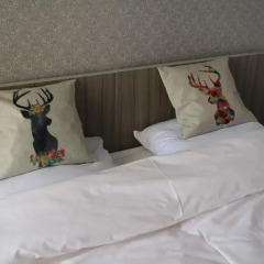 Shante Hotel детские мероприятия