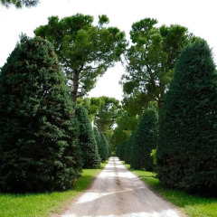 Отель Agriturismo al Colle 3* Стандартный номер фото 2