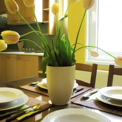 Апартаменты Golden Stars Dream Apartment в номере