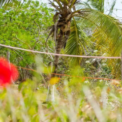 Отель Casa de las Flores Tropical Lodge Колумбия, Сан-Андрес - отзывы, цены и фото номеров - забронировать отель Casa de las Flores Tropical Lodge онлайн приотельная территория