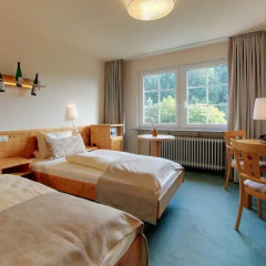 Отель Akzent Waldhotel Rheingau 4* Стандартный номер с различными типами кроватей фото 2