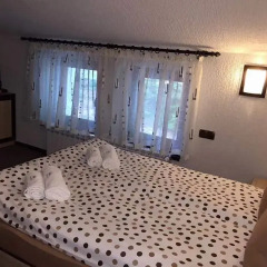 Family Hotel Ginger комната для гостей фото 5
