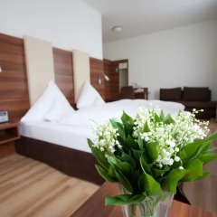Hotel am Viktualienmarkt 3* Стандартный номер с различными типами кроватей фото 15