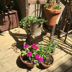 Отель Bcn Home Guest House Испания, Барселона - отзывы, цены и фото номеров - забронировать отель Bcn Home Guest House онлайн фото 3