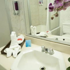 Отель Airport Hotel Costa Rica Коста-Рика, Алахуэла - отзывы, цены и фото номеров - забронировать отель Airport Hotel Costa Rica онлайн ванная фото 2