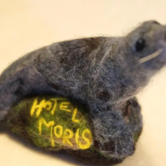 Hotel Moris с домашними животными