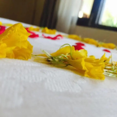 Отель Mingtang Garden Cottage 名堂花园度假屋 Непал, Покхара - отзывы, цены и фото номеров - забронировать отель Mingtang Garden Cottage 名堂花园度假屋 онлайн в номере