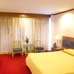 Royal Palace Hotel 3* Стандартный номер с различными типами кроватей фото 2