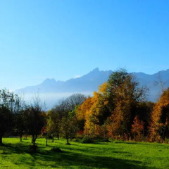 Отель B&b Col del Vin Италия, Беллуно - отзывы, цены и фото номеров - забронировать отель B&b Col del Vin онлайн фото 6