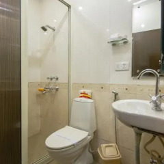 Hotel Aster Inn 3* Номер Делюкс с различными типами кроватей фото 7