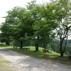 Отель Kurasako Onsen Sakura Япония, Минамиогуни - отзывы, цены и фото номеров - забронировать отель Kurasako Onsen Sakura онлайн фото 7