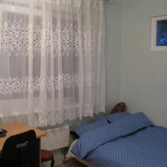 Отель Puku Street Guest House Стандартный номер с разными типами кроватей фото 3