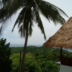 Отель Horizon Luxury Pool Villas Koh Tao Таиланд, Остров Тау - отзывы, цены и фото номеров - забронировать отель Horizon Luxury Pool Villas Koh Tao онлайн приотельная территория фото 2