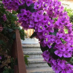 Отель B&B Il Corbezzolo Остия-Антика фото 3