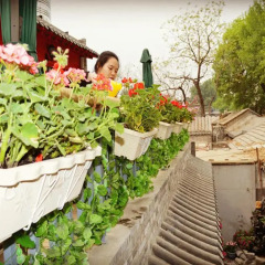 Beijing 161 Lama Temple Courtyard Hotel
