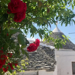 Отель Trulli Vacanze in Puglia Альберобелло фото 10