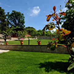 Отель Villa Estate детские мероприятия
