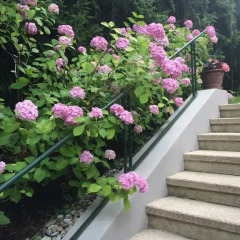 Отель Exquisites Gartenapartment in eleganter Jugendstilvilla Австрия, Вена - отзывы, цены и фото номеров - забронировать отель Exquisites Gartenapartment in eleganter Jugendstilvilla онлайн фото 5