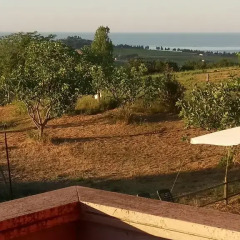 Отель Belle Marche Чивитанова-Марке фото 5