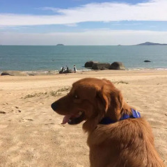 Отель N9 Hostel Xiamen (Formerly Name: Delusion Hostel) Китай, Сямынь - отзывы, цены и фото номеров - забронировать отель N9 Hostel Xiamen (Formerly Name: Delusion Hostel) онлайн с домашними животными