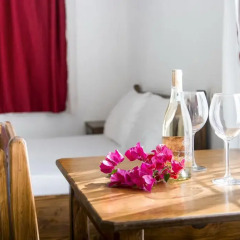 Flower Pension Hotel Стандартный номер с различными типами кроватей фото 3