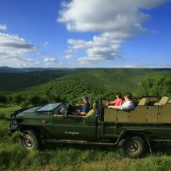 Отель River Bend Lodge городской автобус