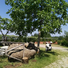 Отель Country Club Primi Faggi Санто-Стефано-ин-Аспромонте фото 14