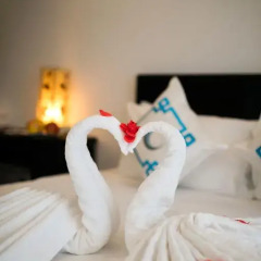 Hanoi Focus Boutique Hotel с домашними животными