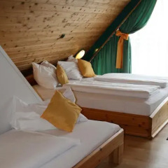 Hotel Asperner Löwe 3* Стандартный номер фото 11