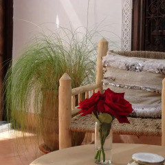 Отель Riad Dar Nouba Марокко, Марракеш - отзывы, цены и фото номеров - забронировать отель Riad Dar Nouba онлайн комната для гостей фото 3