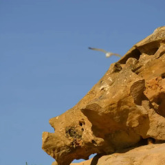 Отель Sal da Costa Lodging пляж фото 2