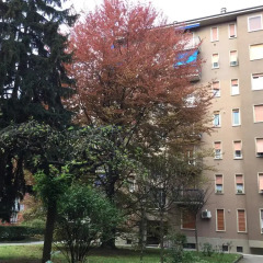 Отель Niguarda Bicocca Flat Италия, Милан - отзывы, цены и фото номеров - забронировать отель Niguarda Bicocca Flat онлайн