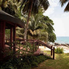 Отель Bom Bom Principe Island 4* Бунгало с различными типами кроватей фото 5