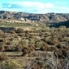 Отель Cortijo Urra Испания, Сорбас - отзывы, цены и фото номеров - забронировать отель Cortijo Urra онлайн приотельная территория