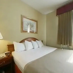 Отель Best Western Jamaica Inn 2* Стандартный номер с различными типами кроватей фото 4