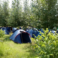 Отель Crossway Camping фото 3
