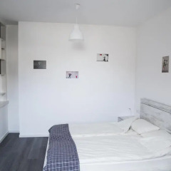 Апартаменты Park Apartments on Mashtots Avenue Студия с различными типами кроватей фото 12