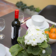 Отель SingularStays Botanico 29 Rooms Испания, Валенсия - отзывы, цены и фото номеров - забронировать отель SingularStays Botanico 29 Rooms онлайн в номере