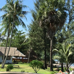 Отель Gooddays Lanta Beach Resort Таиланд, Ланта - отзывы, цены и фото номеров - забронировать отель Gooddays Lanta Beach Resort онлайн фото 20
