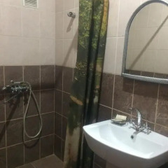 Гостиница Камея 3* Стандартный номер разные типы кроватей фото 9