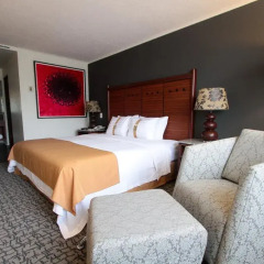 Отель Holiday Inn Trade Center 4* Стандартный номер фото 3