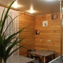 Crocus Art Hotel бассейн