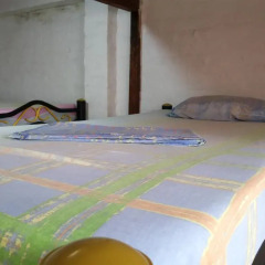 Iguana Hostel Cali комната для гостей фото 3